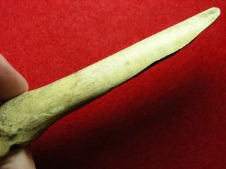 Knuckle Gouge 4 1/2 " Illinois Guaranteed Authentic Indian Artifacts
