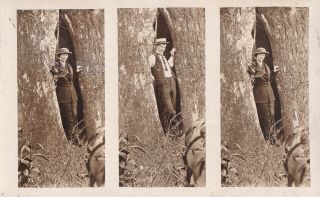 Vintage Silver Photo 1920 Really Interesting 3 People In Tree Bit Vaginal Really