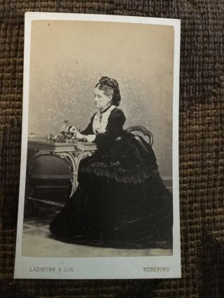 Victorian Cdv Photo Woman Arranging Flowers Hereford Photographer