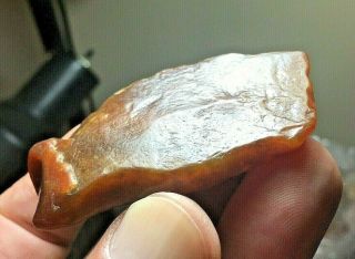 2 1/2” Colorado Agate Petrified Wood Paleo Knife Indian Arrowheads Artifacts