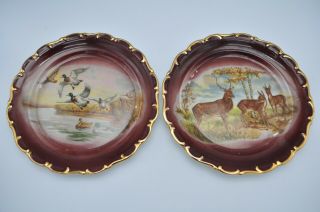 Vtg Bayreuth Bavaria Porcelain Decorated Painted Plate Duck Deer Scene Wall