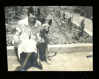 Vintage Photo Pretty Flapper Girl Poses With German Shepherd Dog 1920 