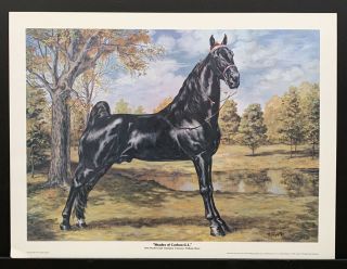 Billie Nipper Signed Print Shades Of Carbon G.  L.  Tennessee Artist Walking Horse