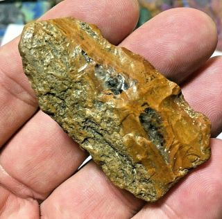 2 1/8” Colorado Petrified Wood Paleo Knife Tool Indian Arrowheads Artifacts