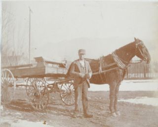 VINTAGE PHOTOGRAPHIC IMAGE of HORSE DRAWN DELIVERY WAGON and operator 2