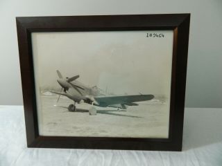 Vintage Wwii Usaaf Curtiss P40 Warhawk Fighter Aircraft Photograph Usaf