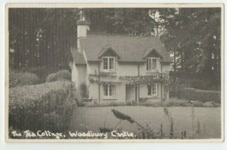 Old Postcard Size Photo The Tea Cottage Woodbury Castle Devon ? Vintage C.  1950