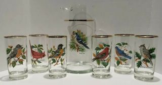 Vintage West Virginia Glass Company Song Birds Pitcher & 6 Tumbler Glasses Set