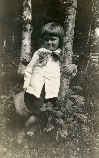 Kj25 Vtg Photo Little Boy In Knickers,  Trees & Ferns C Early 1900 