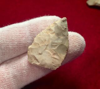 Authentic Indian Arrowhead Bird Point / Native American Indian Artifact