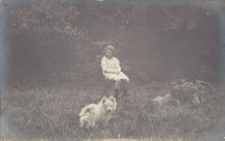 Old Photo Children Girl Dress Pet Dog Animal 1910s Chiswick Th461