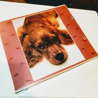Vintage Mead 1980s Cocker Spaniel Dog Trapper Keeper Notebook 3 - Ring Binder 2