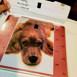 Vintage Mead 1980s Cocker Spaniel Dog Trapper Keeper Notebook 3 - Ring Binder 3
