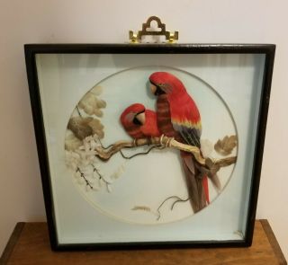 Vintage Oriental 3d Feather Diorama Shadow Box Framed Signed Birds