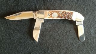 Buck Creek Hand Made German Stainless Steel Folding Pocket Knife 3 Blades