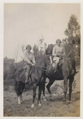 Old Photo Women Glamour Fashion Jodhpur Horse Riding Animal Sisters Cv384