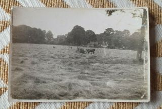 Wollescote House And Lodge 1930s Small Photograph Nr Stourbridge West Mids