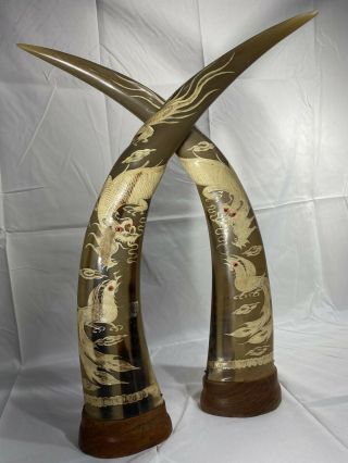 long water buffalo horns carved with Dragon and Phoenix chasing a Pearl 2