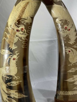 long water buffalo horns carved with Dragon and Phoenix chasing a Pearl 3