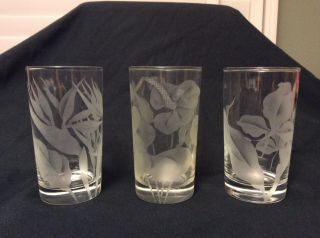 Set Of 3 Vintage Hawaii Hawaiian Floral Etched Glass Cups Glasses