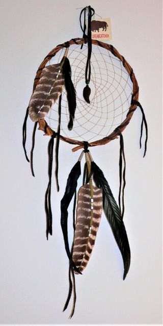 Lrg Handmade Natural Dreamcatcher With Gems And Painted Feathers - 11 " Willow Hoop