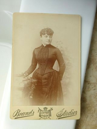 Antique Cabinet Photo Victorian Young Woman Lovely Beaded Pattern Dress Chicago