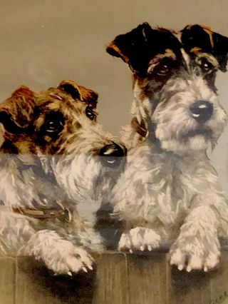 Vintage Signed Framed Print Of A Wire Hair Terrier Dog By M Gear Circa 1940