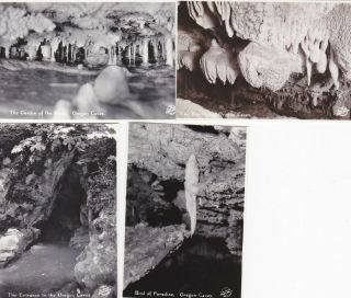 4 Sawyer Scenic Inc.  Vintage Photos Oregon Caves Entrance,  Bird Paradise,  Bee Hive