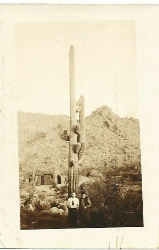 Vintage Antique Photograph Very Tall Cactus Mountain Man Woman 1935