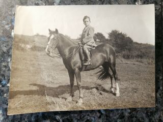 Photograph Of Young Boy On Horse 1930 