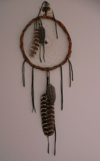 Lrg Handmade Natural Dreamcatcher With Gems And Painted Feathers - 12 " Willow Hoop