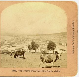 South Africa,  Cape Town From The Hills - - Kilburn 13696