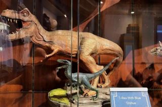 Universal Studios Exclusive Jurassic World T - Rex And Blue Statue Figure