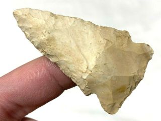 Outstanding Columbia Point Arrowhead Marion Co. ,  Florida Authentic Artifact Sl8