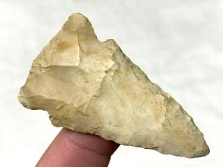 OUTSTANDING COLUMBIA POINT ARROWHEAD MARION CO. ,  FLORIDA AUTHENTIC ARTIFACT SL8 2