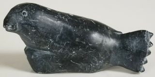 Canadian Eskimo Art 3 " Long Soapstone Carved Sea Lion Seal Signed