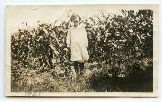 B360 Vtg Photo Girl By The Corn Field C 1921