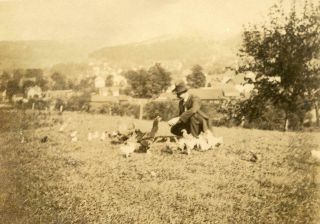 J113 Vtg Photo Man In Hat Feeding Ducks,  Baby Duckings C Early 1900 
