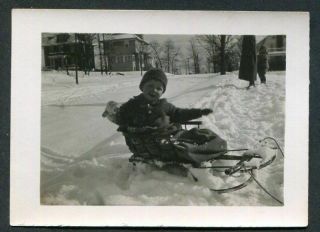 Cute Little Boy On Sled - Snowy Winter Day - Antique Photo Snapshot