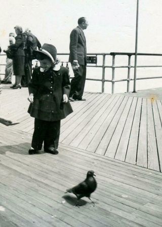 Ac242 Vtg Photo Child On Pier With Pigeon C Mid Century