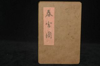 Ancient Painting Shunga Artistic Erotic Viusal Painting Book Nr5