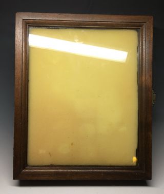 Vintage Glass Wood & Brass Display Case Shadow Box Wall Atco