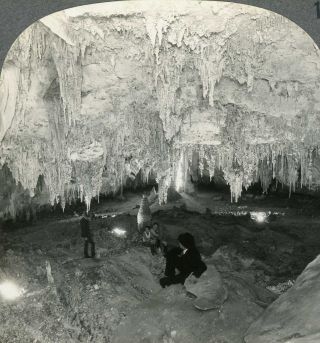 Mexico Carlsbad Caverns Papoose Chamber Stereoview 33509 1131 Fx