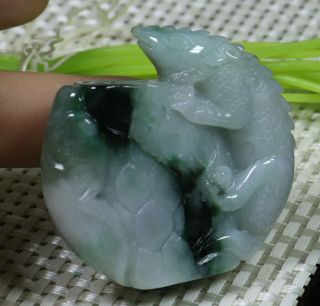 Certified Green 100 Natural A Jade jadeite SMALL Statue Lizard 蜥蜴 002121 2