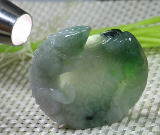 Certified Green 100 Natural A Jade jadeite SMALL Statue Lizard 蜥蜴 002121 3