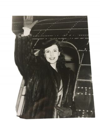 Vivien Leigh Vintage Photos 8x10 Black & White.