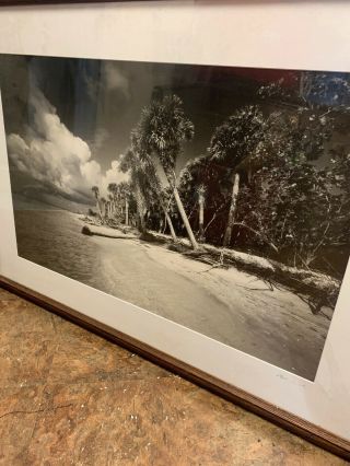 Clyde Butcher Signed Framed Print Cayo Costa Island 32 X 20.  5 Matted Size 32X44 2
