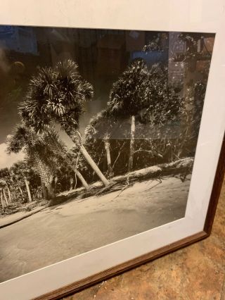 Clyde Butcher Signed Framed Print Cayo Costa Island 32 X 20.  5 Matted Size 32X44 3
