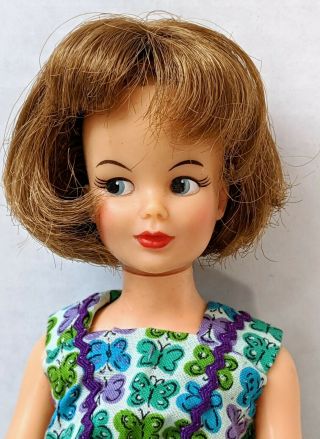 ✨ ✨vintage 1965 Grown Up Tammy Doll T - 12 With Vintage Handmade Dress