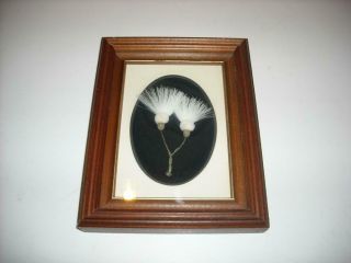 Vintage Framed Myrtle Demeulles Caribou Hair Tuftings Flowers Picture Canada